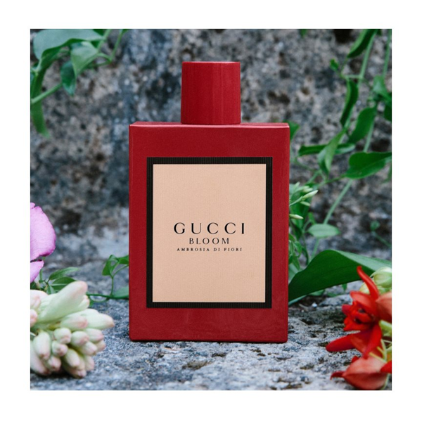 Gucci Bloom Ambrosia Di Fiori Intense   