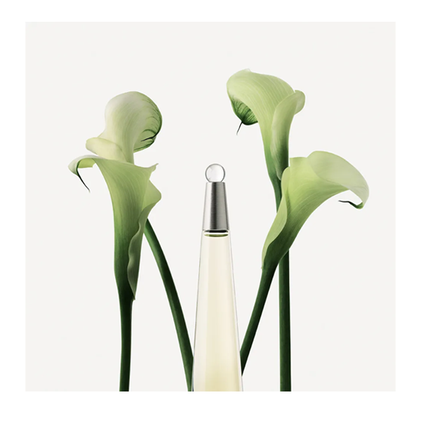 Issey Miyake L'eau D'issey   