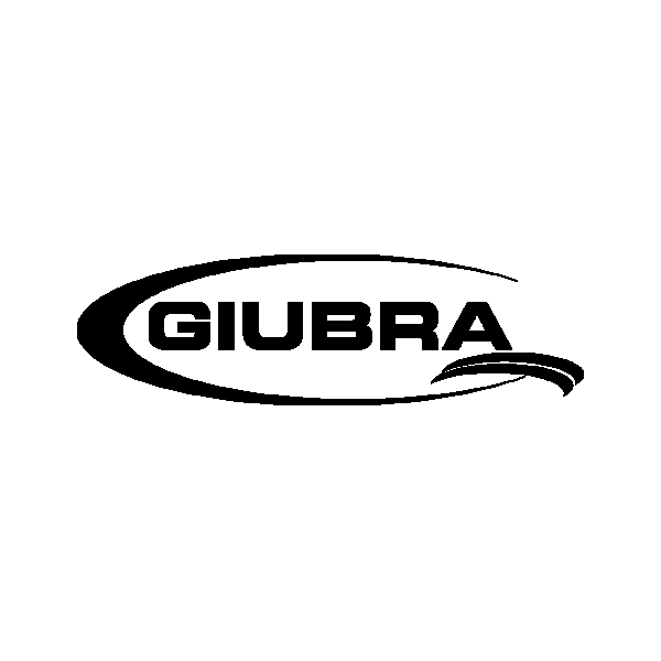 Giubra Remedy Professional Hair Dryer   