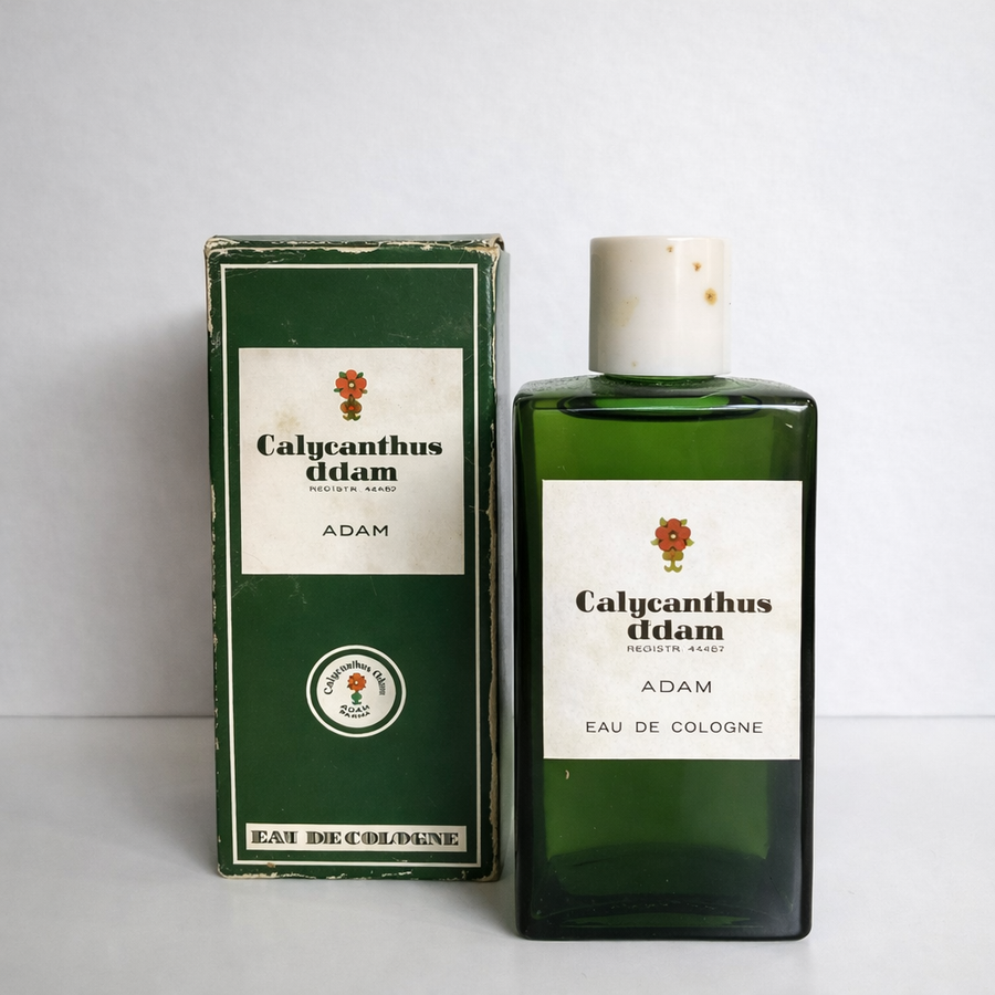 Calycanthus Adam Eau de Cologne