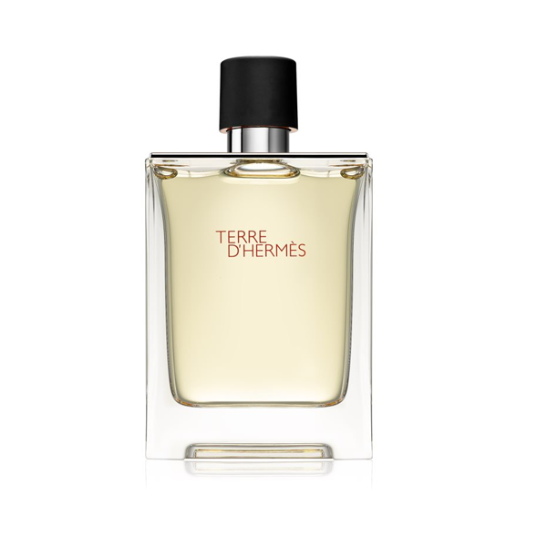 Hermès Terre D'Hermès Eau De Toilette 100 ml  