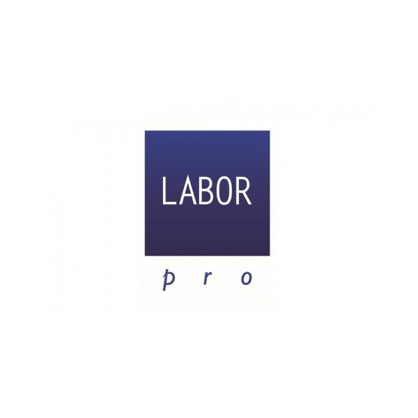 Labor Life Pro Thin 2200 Ion Asciugacapelli professionale   