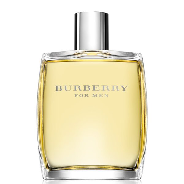 Burberry For Men 100 ml  